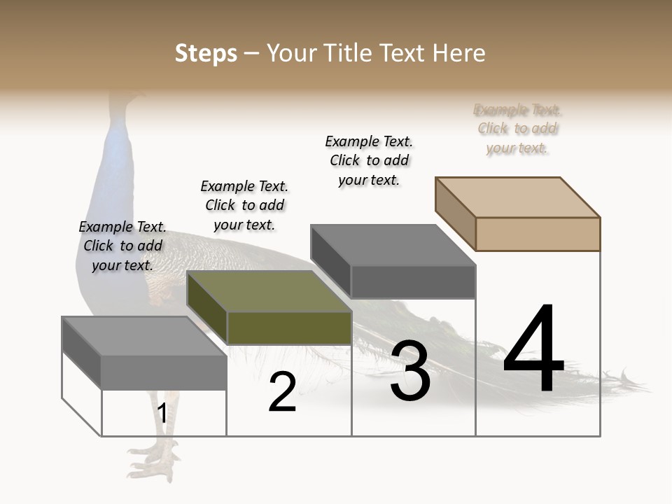 No People Bird Behavior PowerPoint Template