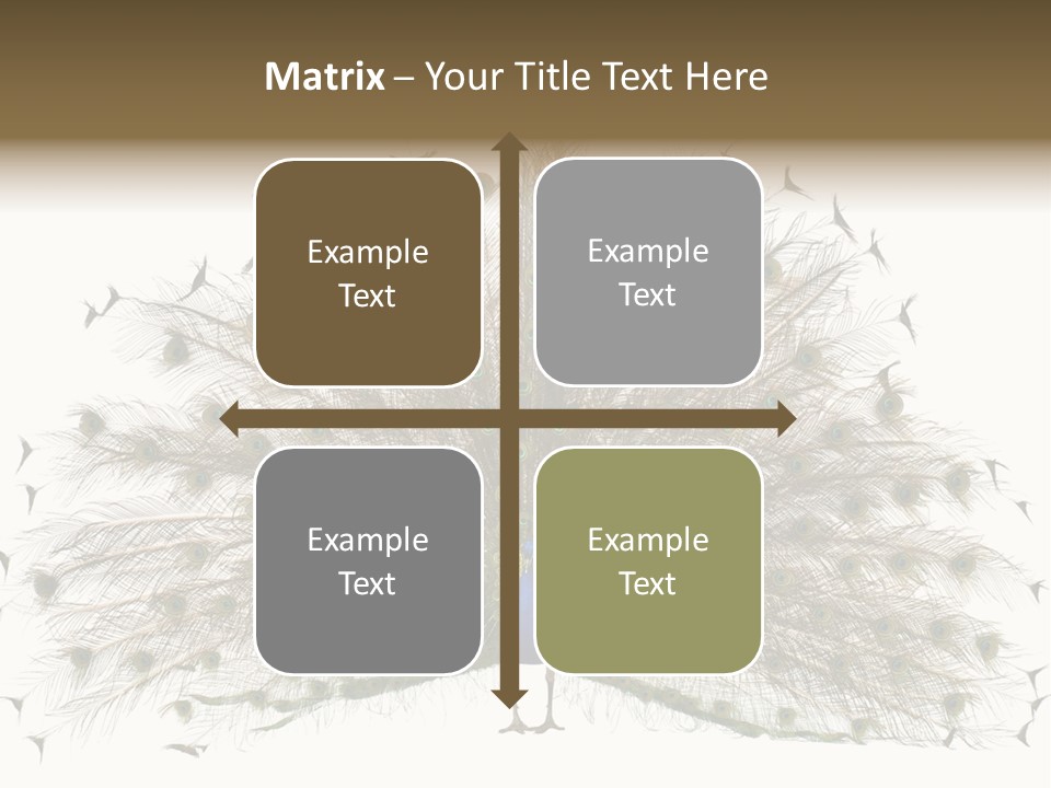 Blue Indoors Peafowl PowerPoint Template