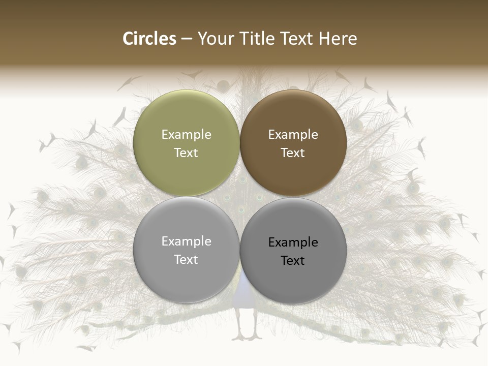 Blue Indoors Peafowl PowerPoint Template