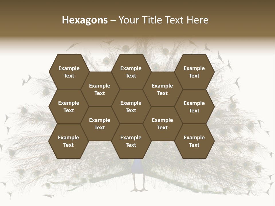 Blue Indoors Peafowl PowerPoint Template