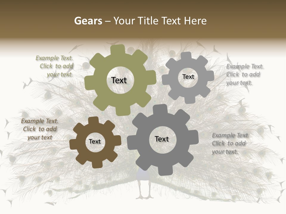 Blue Indoors Peafowl PowerPoint Template