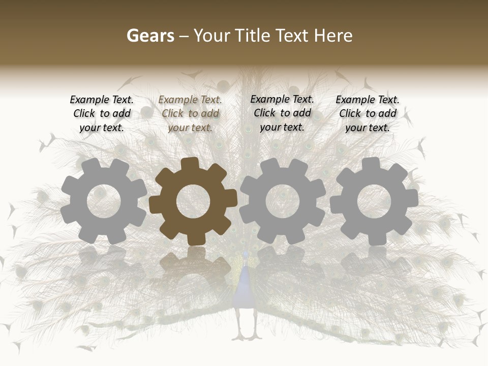 Blue Indoors Peafowl PowerPoint Template