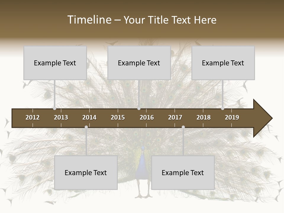 Blue Indoors Peafowl PowerPoint Template