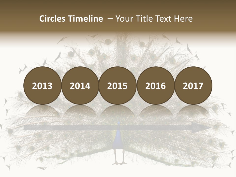 Blue Indoors Peafowl PowerPoint Template