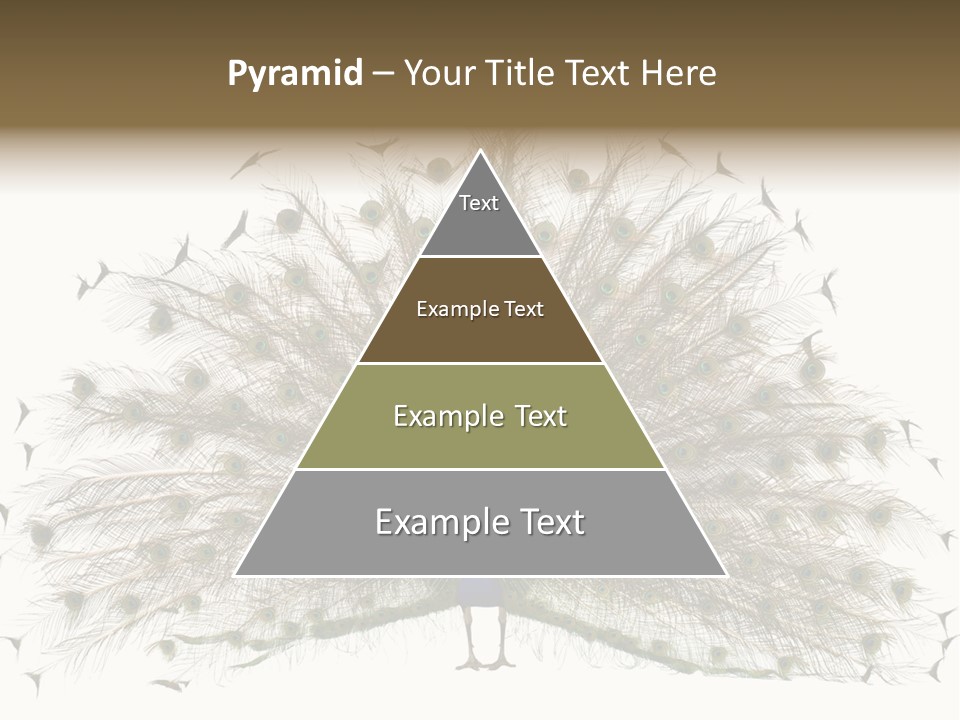 Blue Indoors Peafowl PowerPoint Template