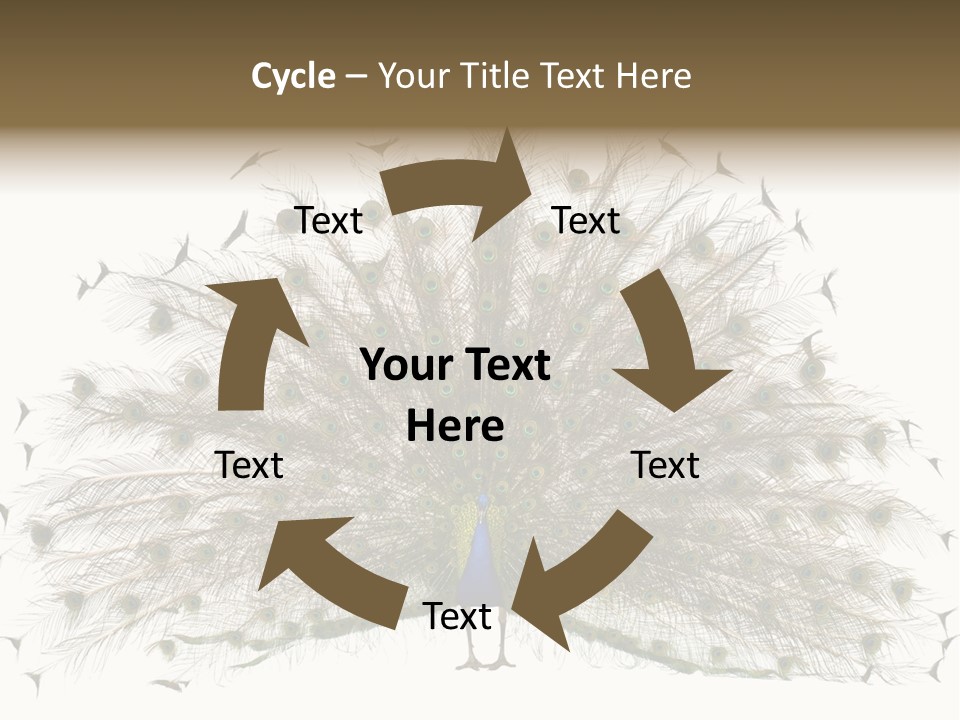 Blue Indoors Peafowl PowerPoint Template