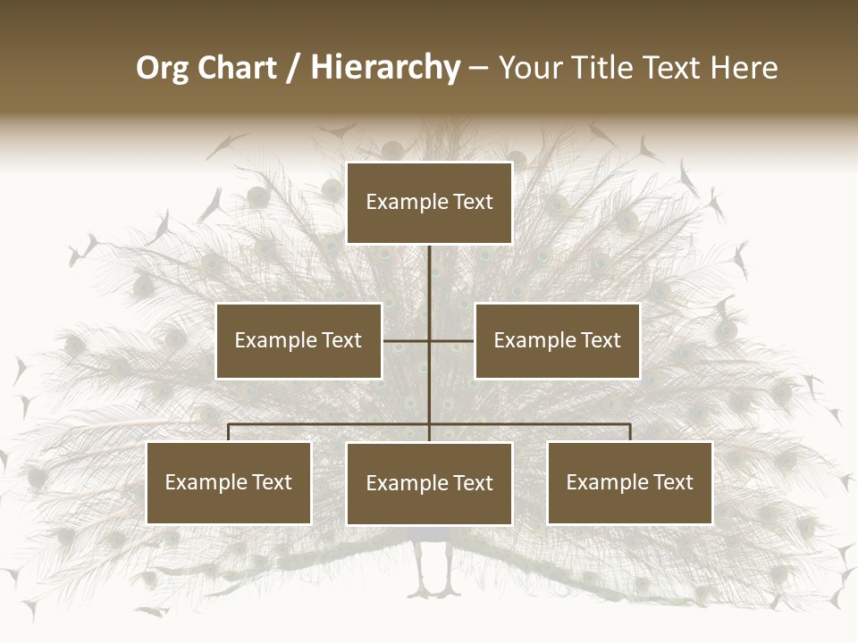 Blue Indoors Peafowl PowerPoint Template