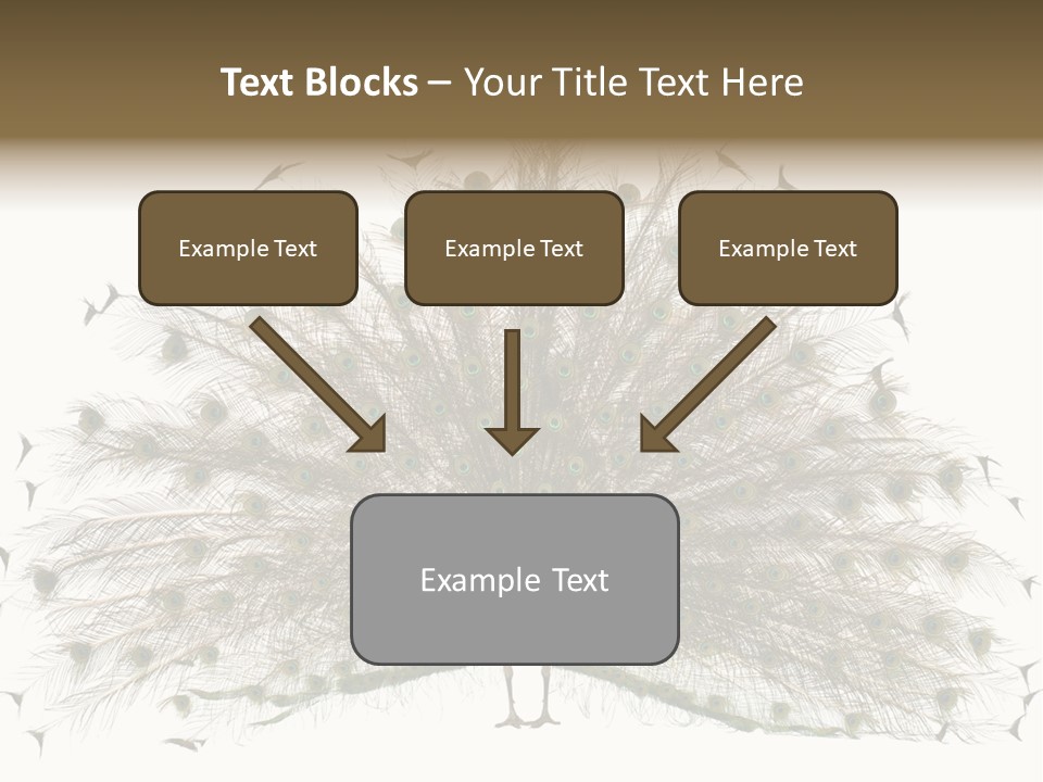 Blue Indoors Peafowl PowerPoint Template