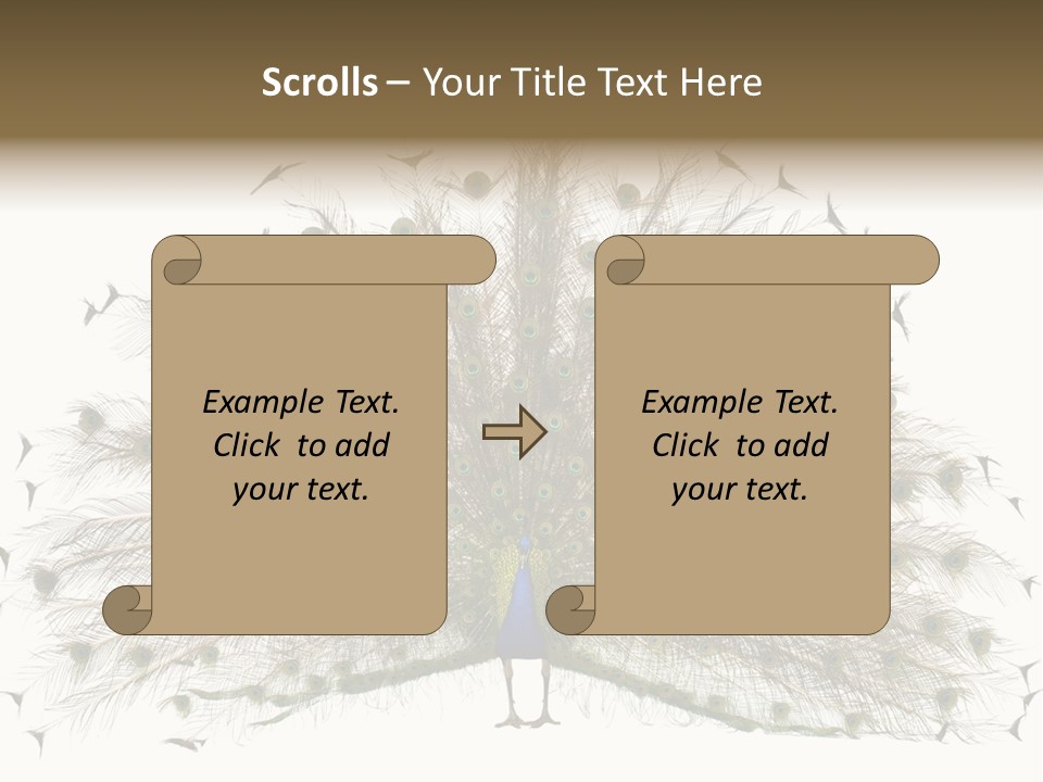 Blue Indoors Peafowl PowerPoint Template