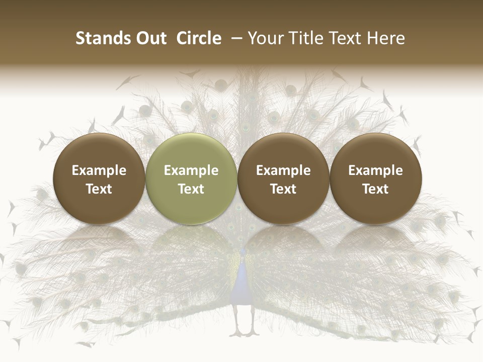 Blue Indoors Peafowl PowerPoint Template