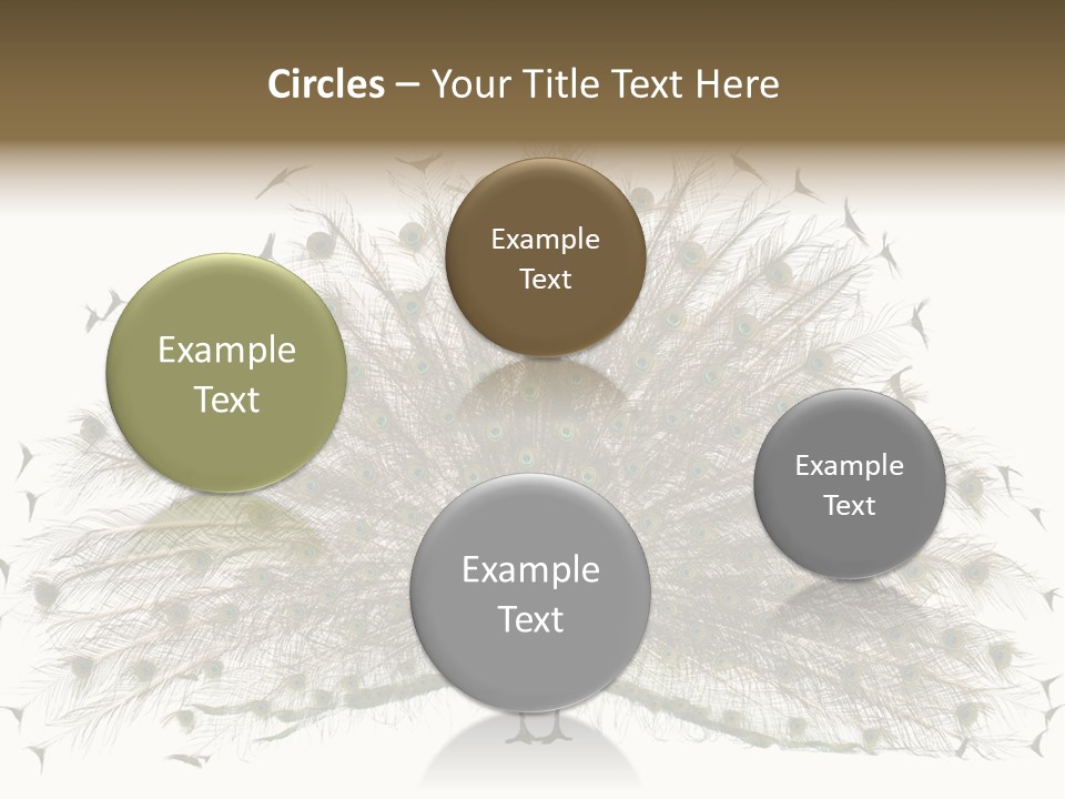 Blue Indoors Peafowl PowerPoint Template