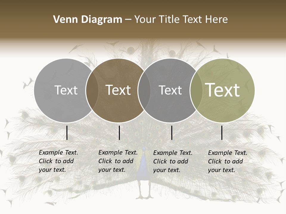 Blue Indoors Peafowl PowerPoint Template