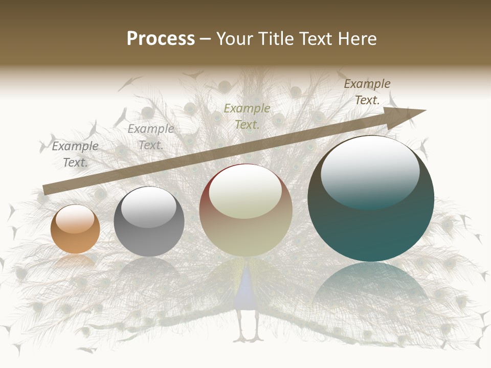 Blue Indoors Peafowl PowerPoint Template