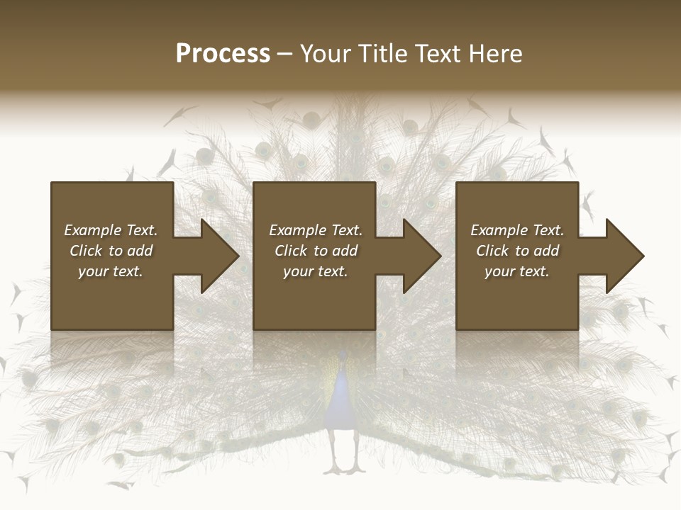 Blue Indoors Peafowl PowerPoint Template