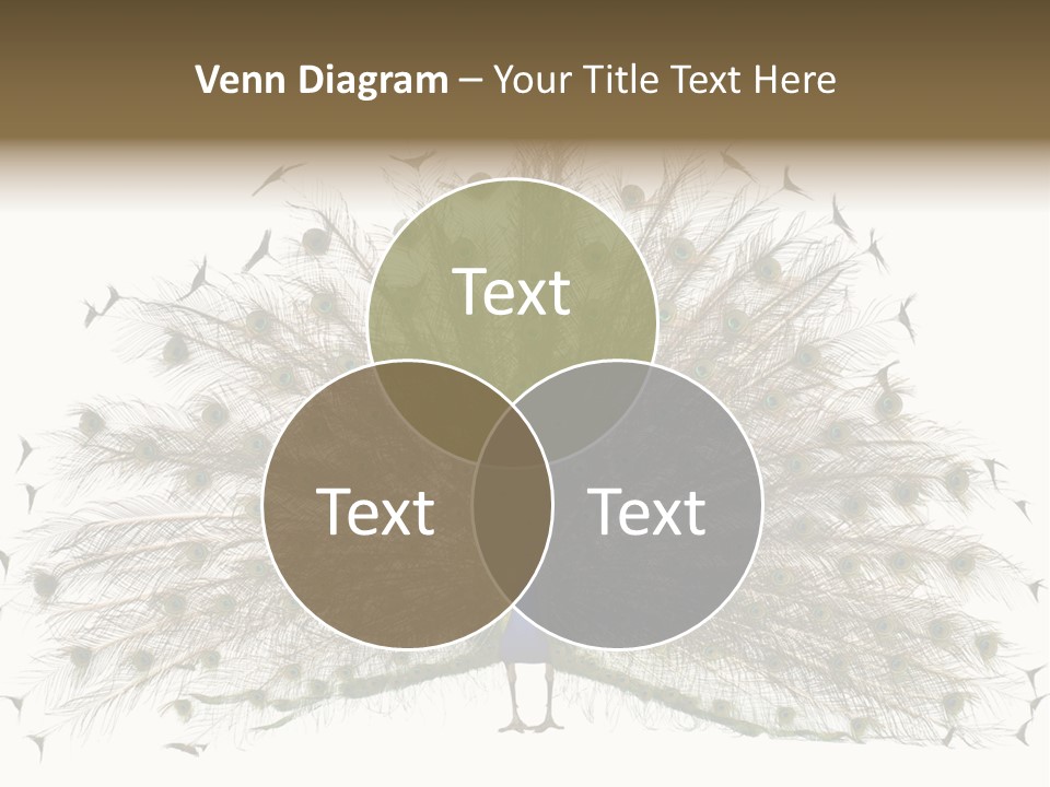 Blue Indoors Peafowl PowerPoint Template