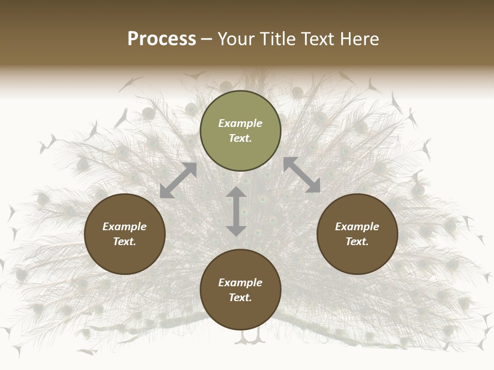 Blue Indoors Peafowl PowerPoint Template