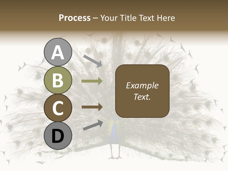 Blue Indoors Peafowl PowerPoint Template