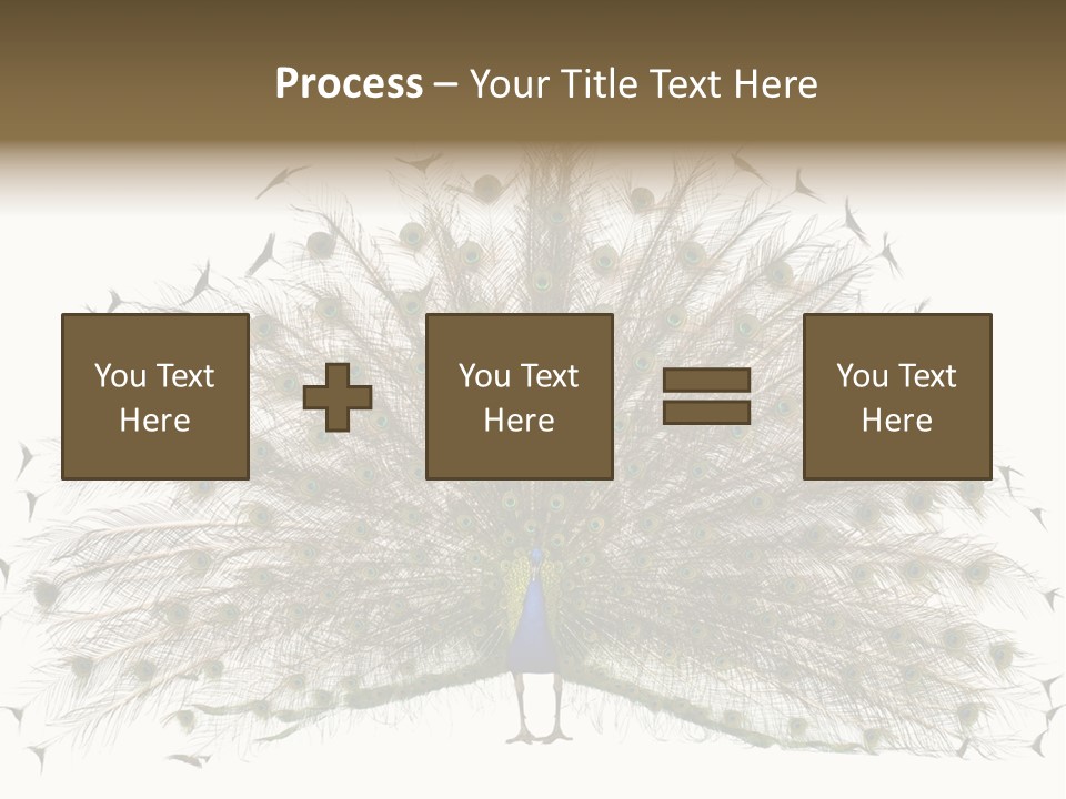 Blue Indoors Peafowl PowerPoint Template