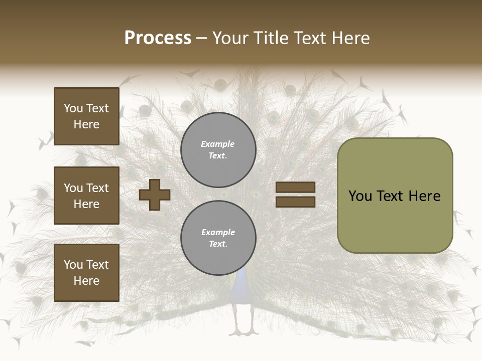 Blue Indoors Peafowl PowerPoint Template