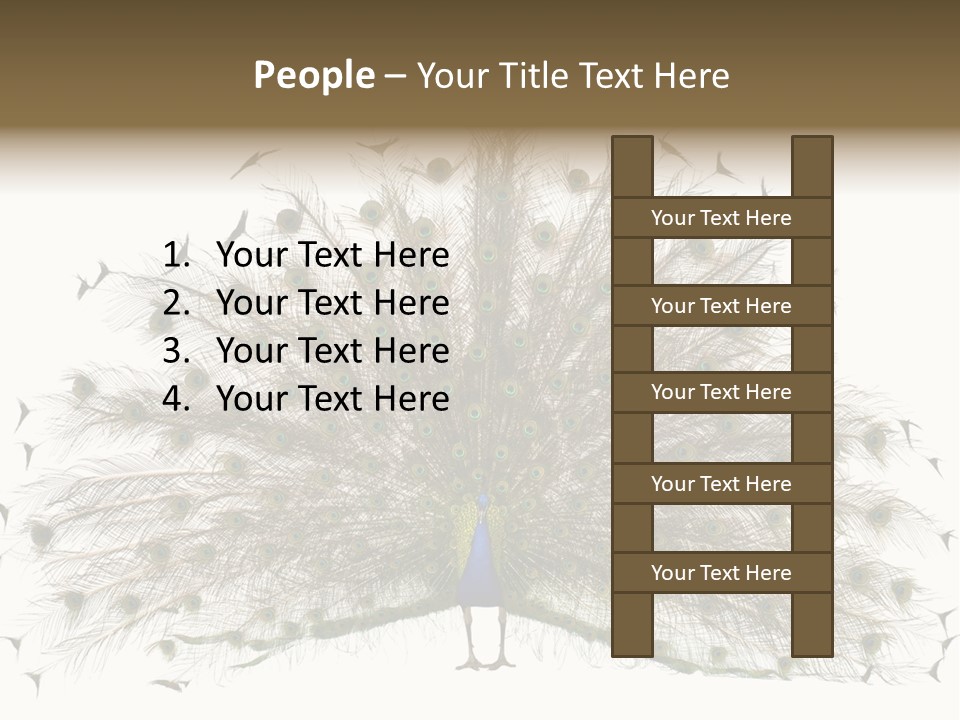Blue Indoors Peafowl PowerPoint Template