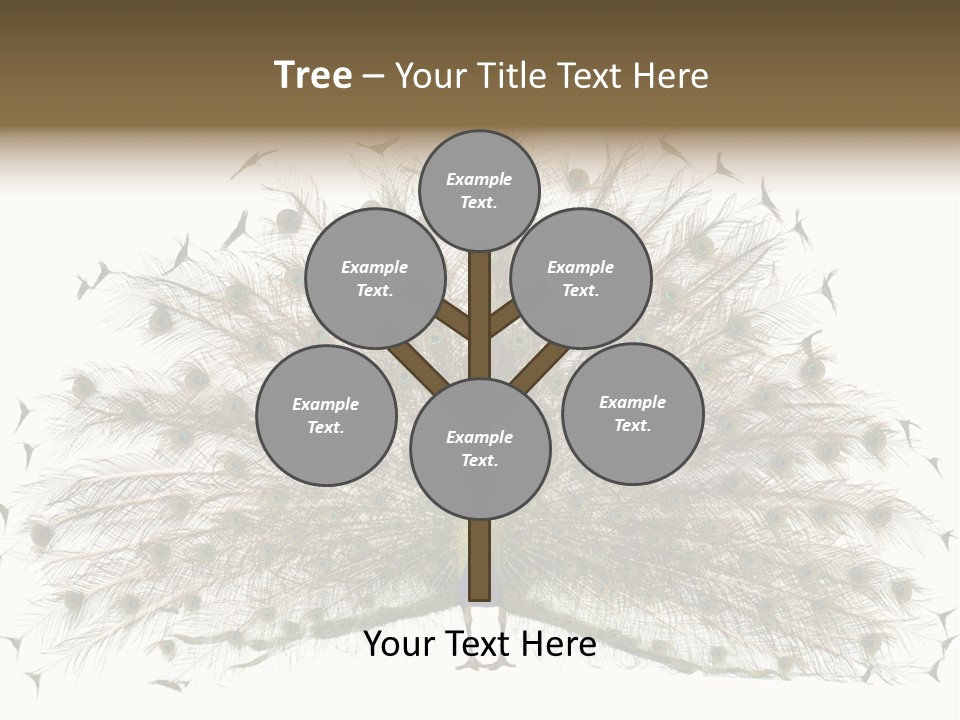 Blue Indoors Peafowl PowerPoint Template