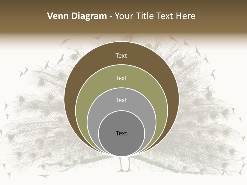 Blue Indoors Peafowl PowerPoint Template