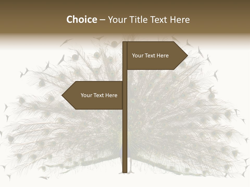 Blue Indoors Peafowl PowerPoint Template