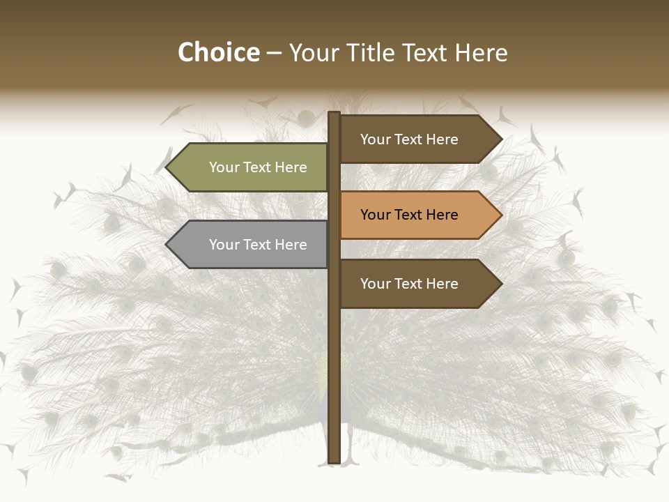 Blue Indoors Peafowl PowerPoint Template