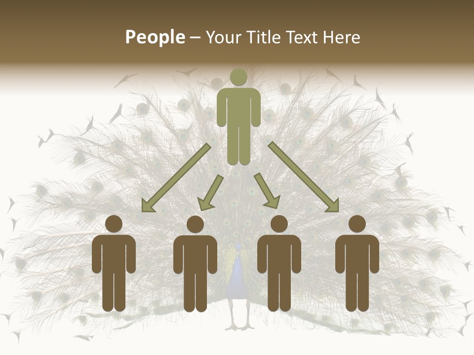 Blue Indoors Peafowl PowerPoint Template