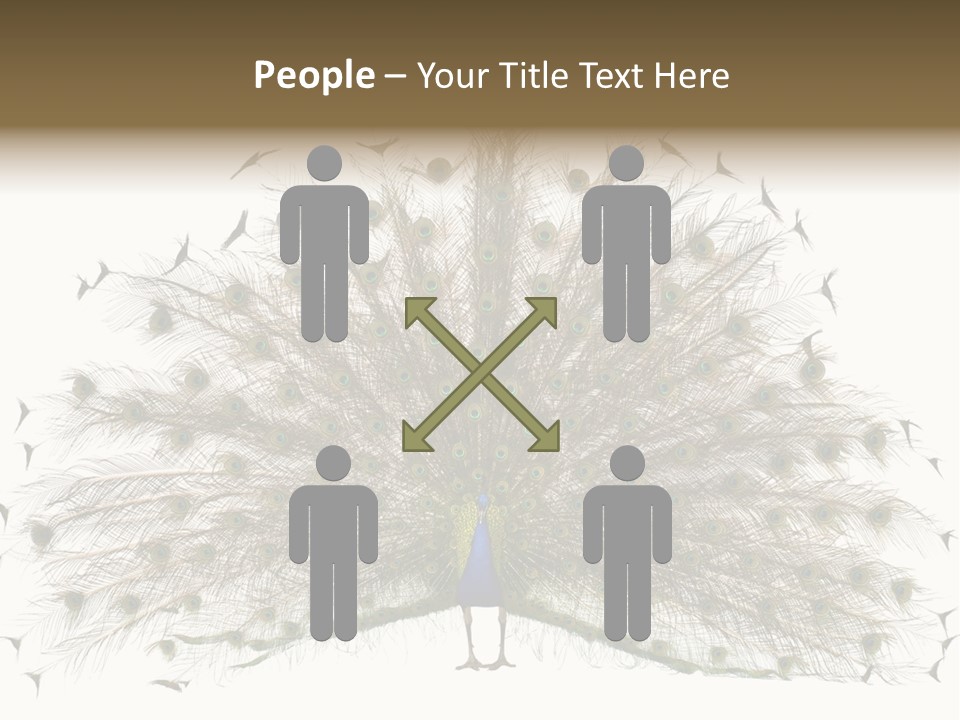 Blue Indoors Peafowl PowerPoint Template