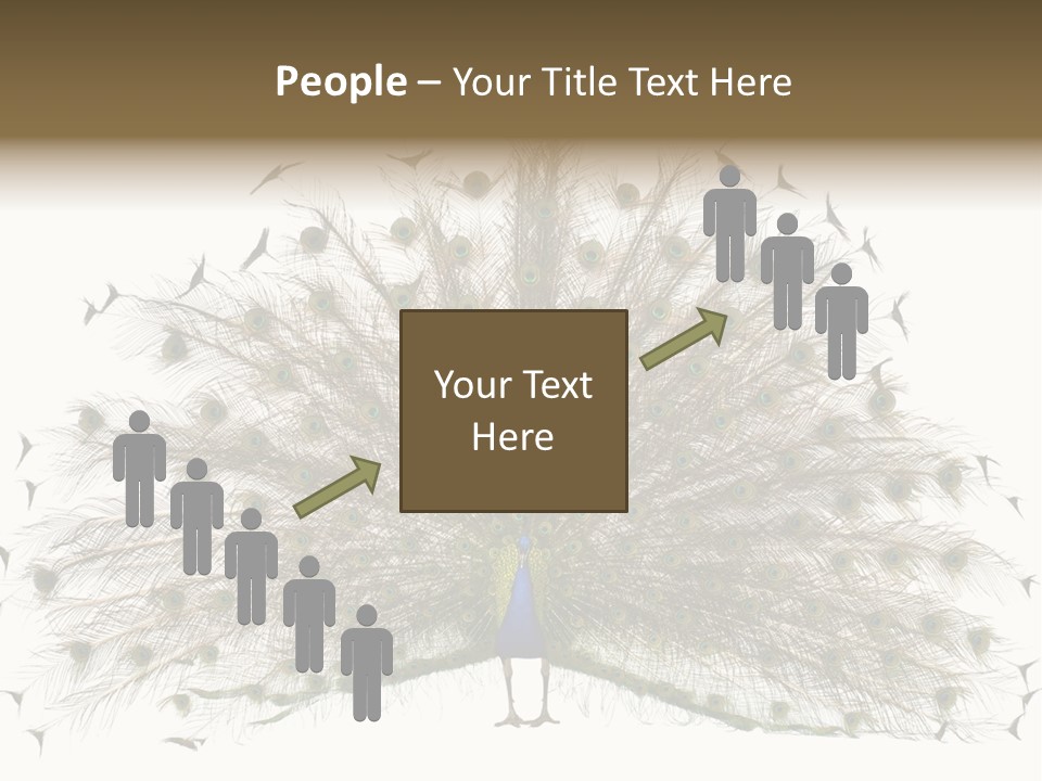 Blue Indoors Peafowl PowerPoint Template