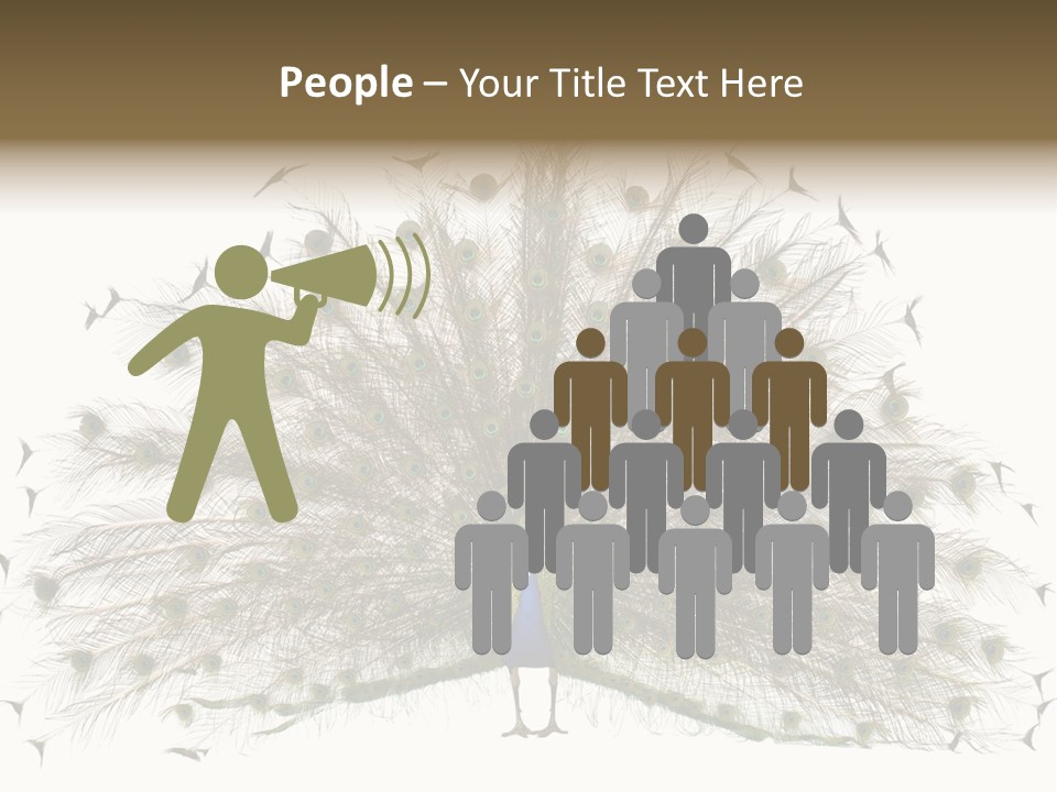 Blue Indoors Peafowl PowerPoint Template