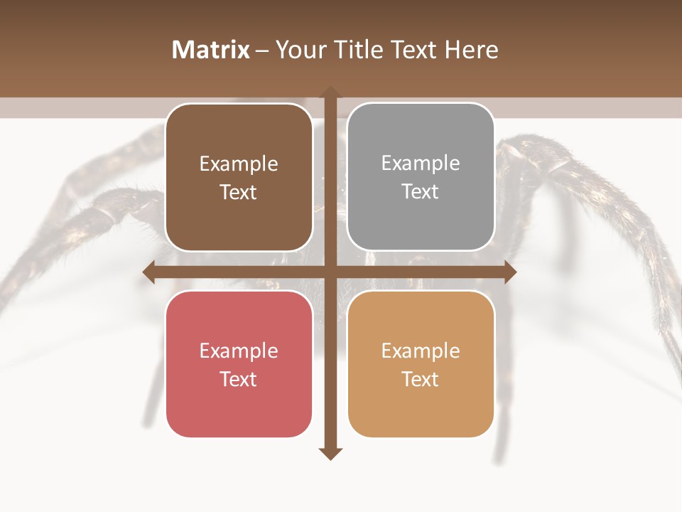 Arachnid Detail Background PowerPoint Template
