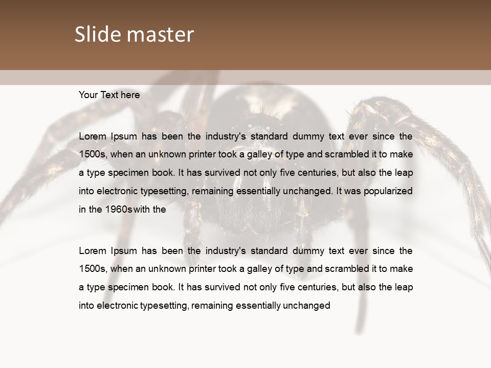 Arachnid Detail Background PowerPoint Template