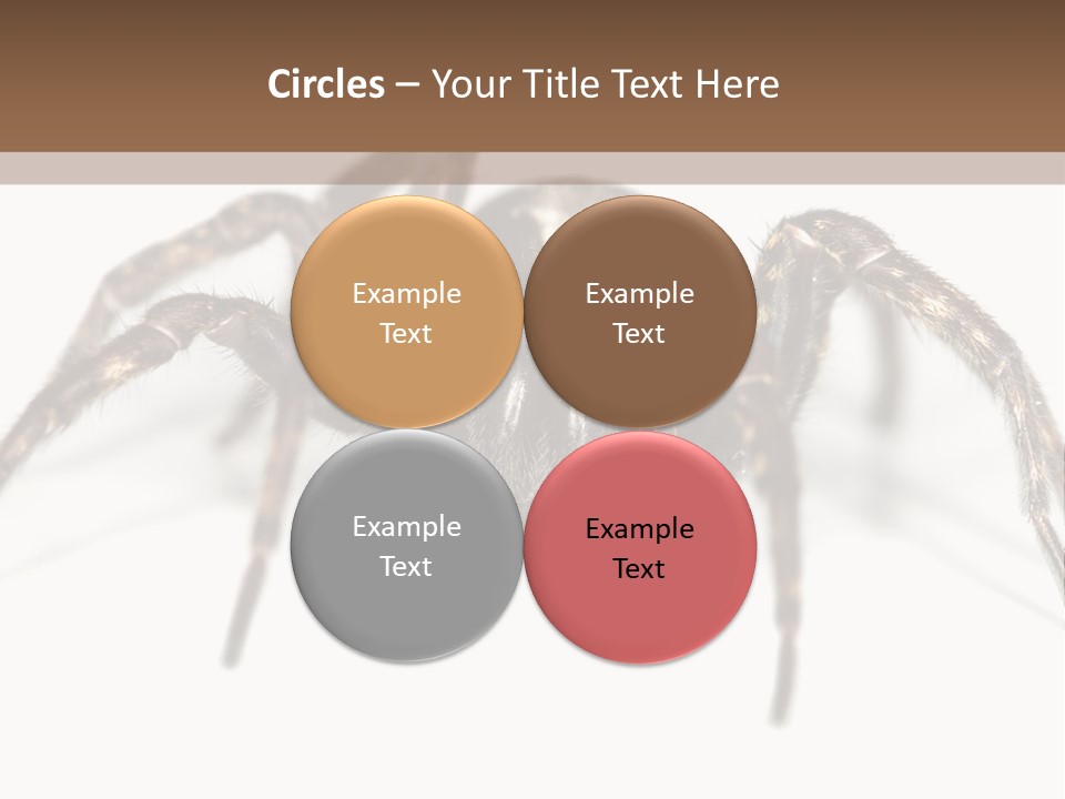 Arachnid Detail Background PowerPoint Template