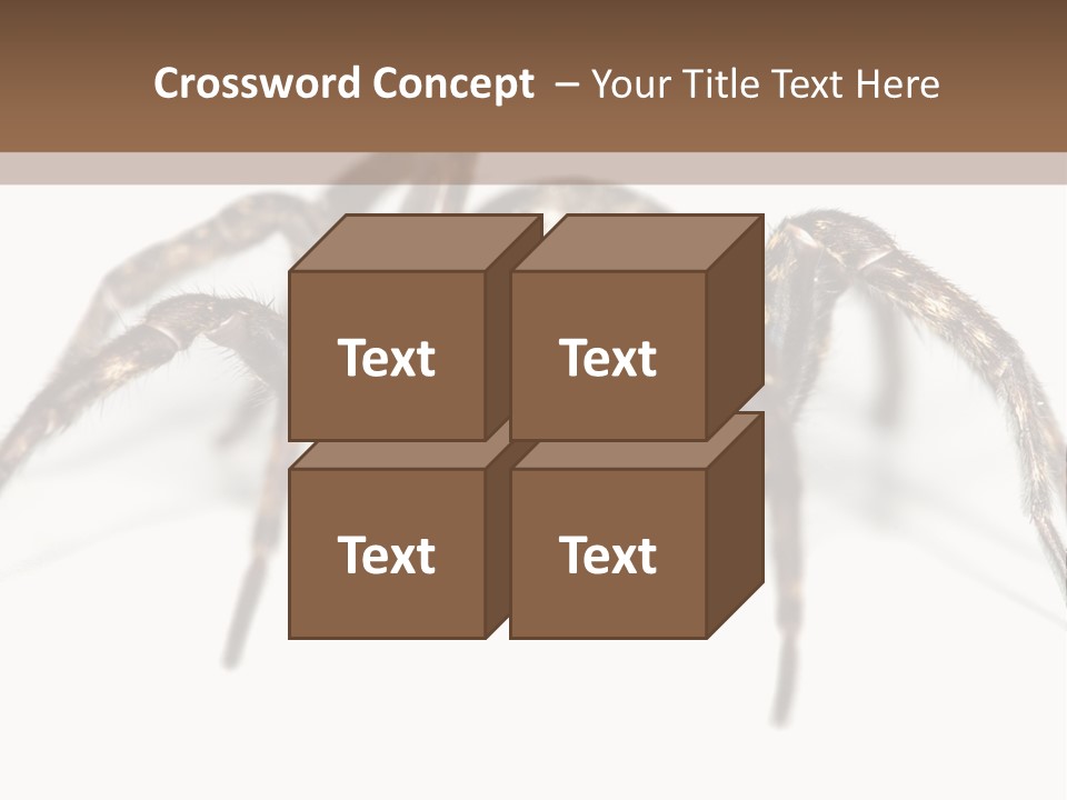 Arachnid Detail Background PowerPoint Template