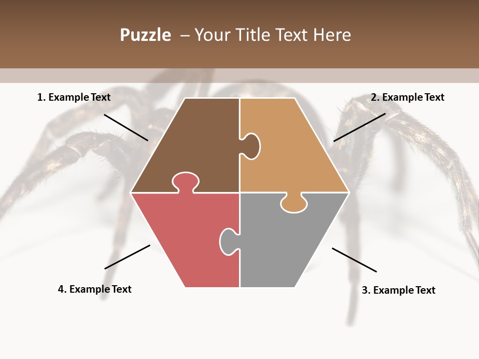 Arachnid Detail Background PowerPoint Template