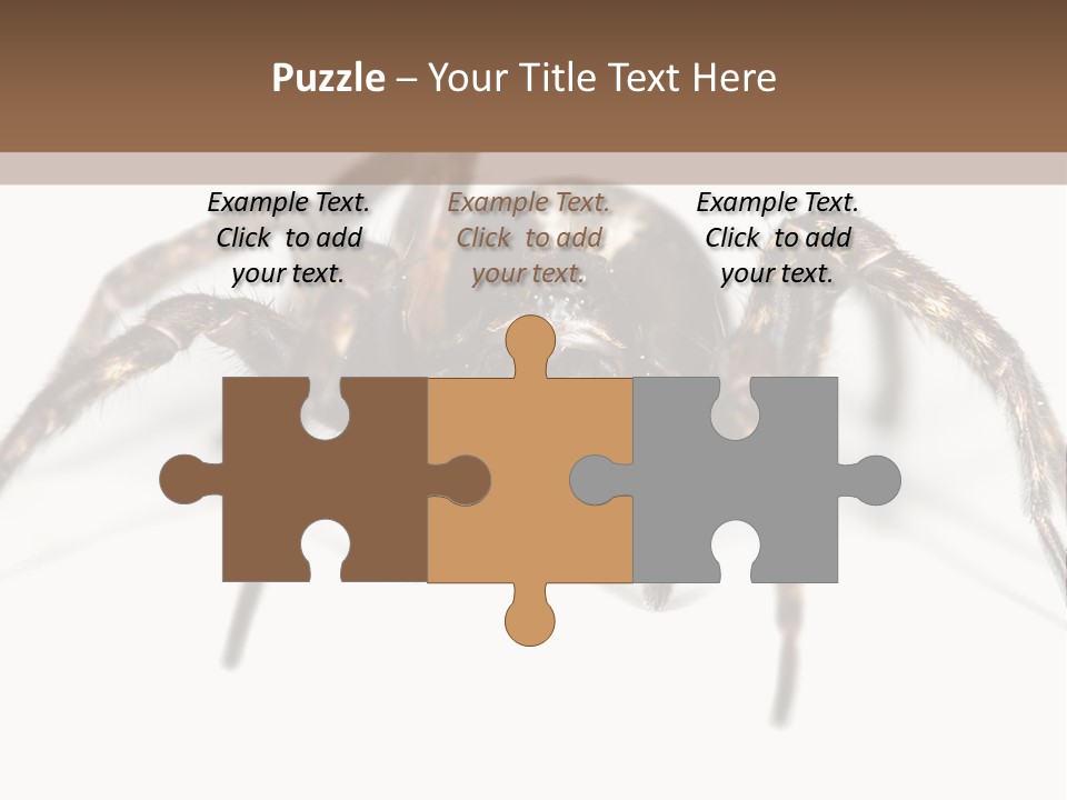 Arachnid Detail Background PowerPoint Template