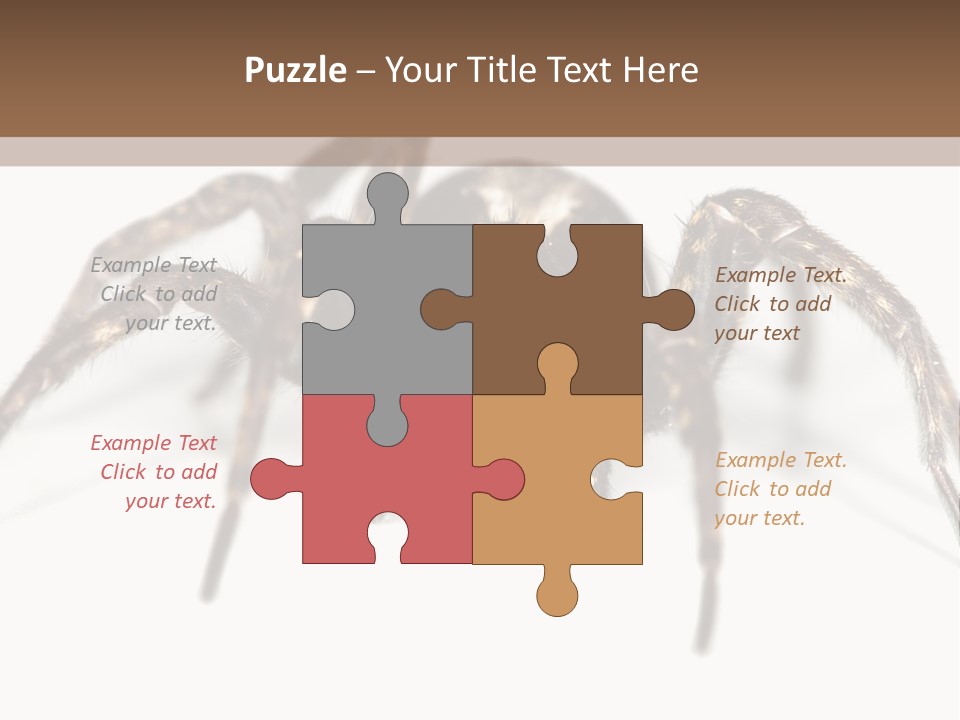 Arachnid Detail Background PowerPoint Template
