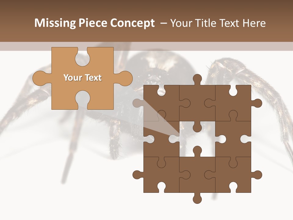 Arachnid Detail Background PowerPoint Template