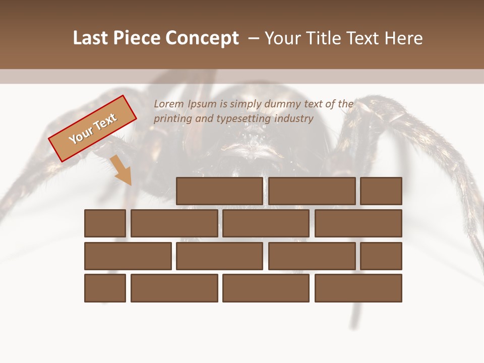 Arachnid Detail Background PowerPoint Template