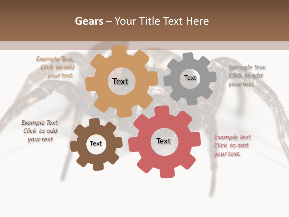 Arachnid Detail Background PowerPoint Template