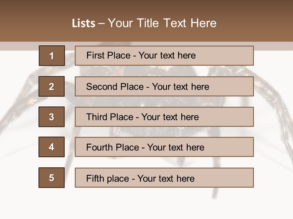 Arachnid Detail Background PowerPoint Template