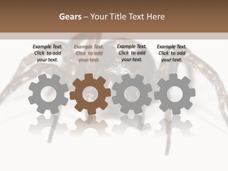 Arachnid Detail Background PowerPoint Template
