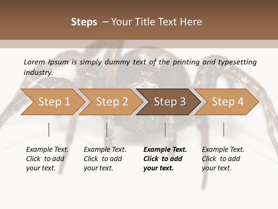 Arachnid Detail Background PowerPoint Template