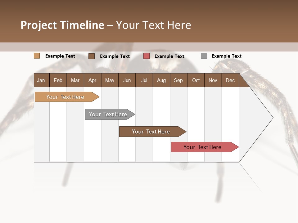 Arachnid Detail Background PowerPoint Template