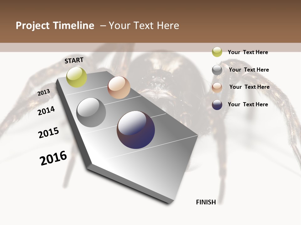 Arachnid Detail Background PowerPoint Template