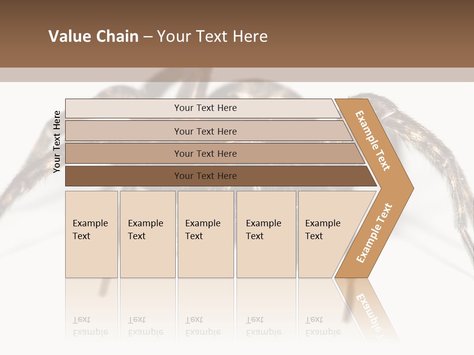 Arachnid Detail Background PowerPoint Template