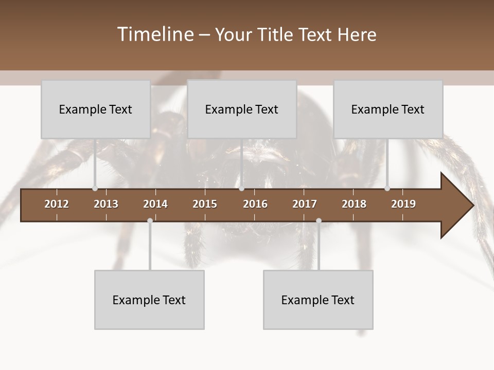 Arachnid Detail Background PowerPoint Template