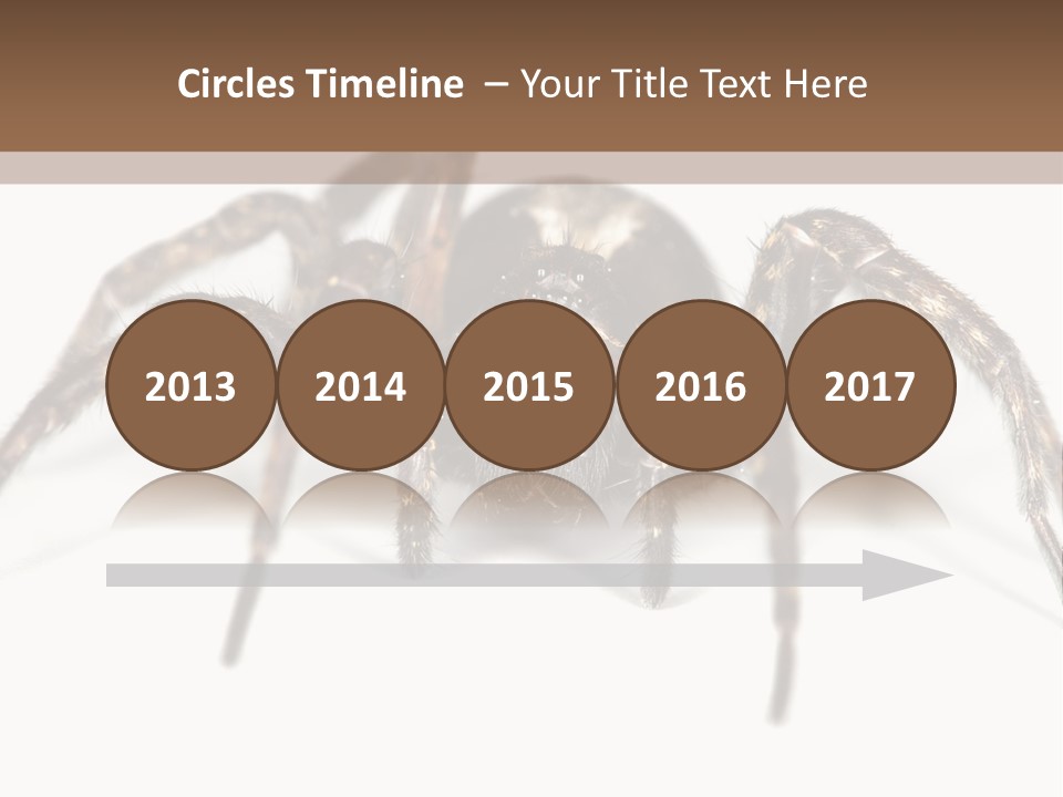 Arachnid Detail Background PowerPoint Template
